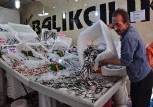 Balık özlemi sona erdi